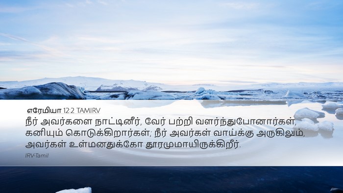 எரேமியா 12:2 TAMIRV Bible Verse Image