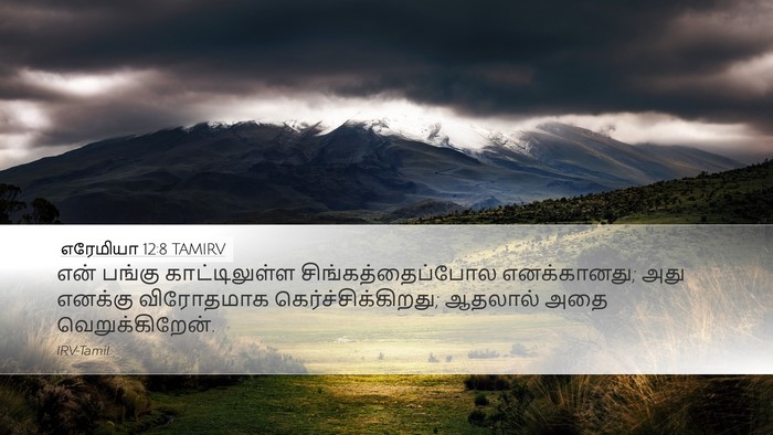 எரேமியா 12:8 TAMIRV Bible Verse Image