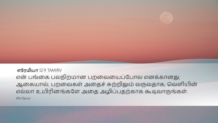 எரேமியா 12:9 TAMIRV Bible Verse Image