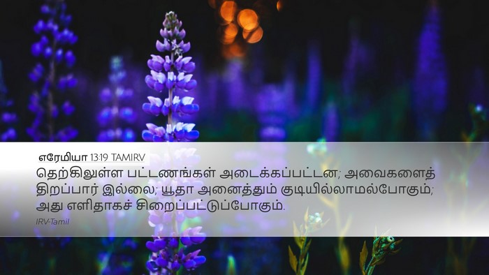 எரேமியா 13:19 TAMIRV Bible Verse Image