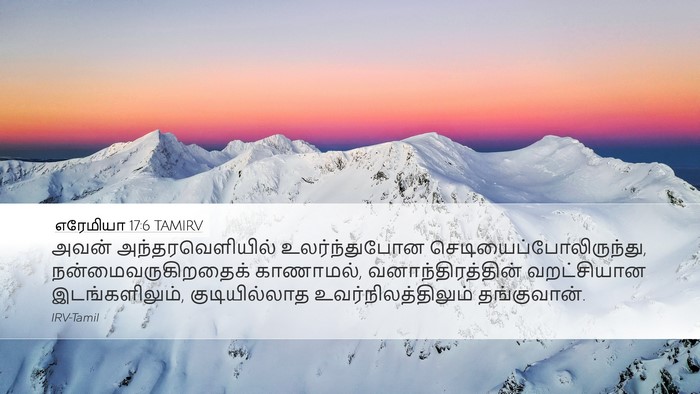 எரேமியா 17:6 TAMIRV Bible Verse Image