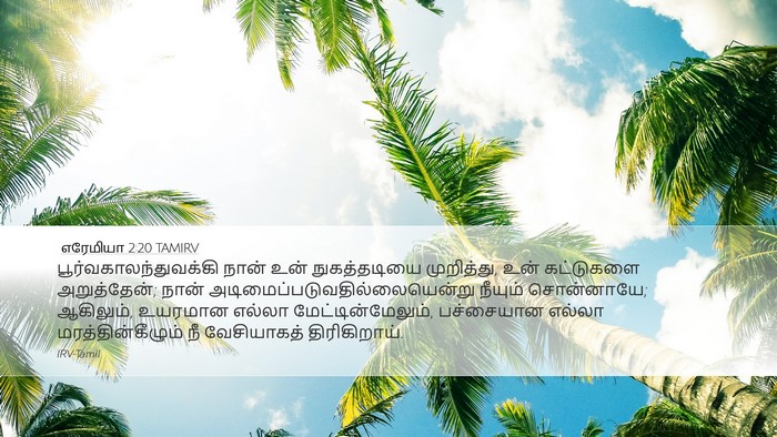 எரேமியா 2:20 TAMIRV Bible Verse Image