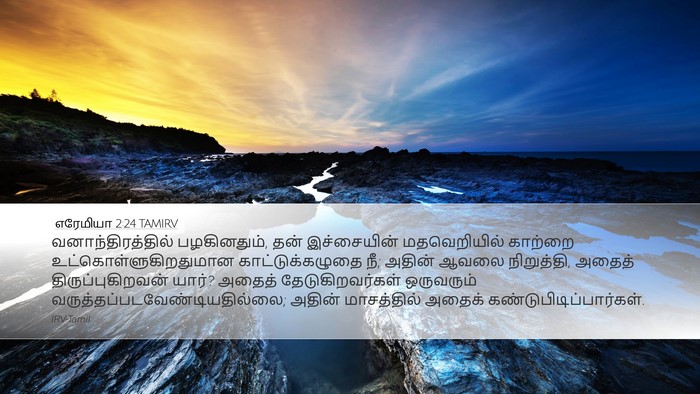 எரேமியா 2:24 TAMIRV Bible Verse Image