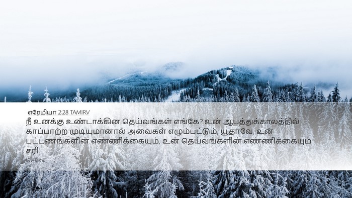 எரேமியா 2:28 TAMIRV Bible Verse Image