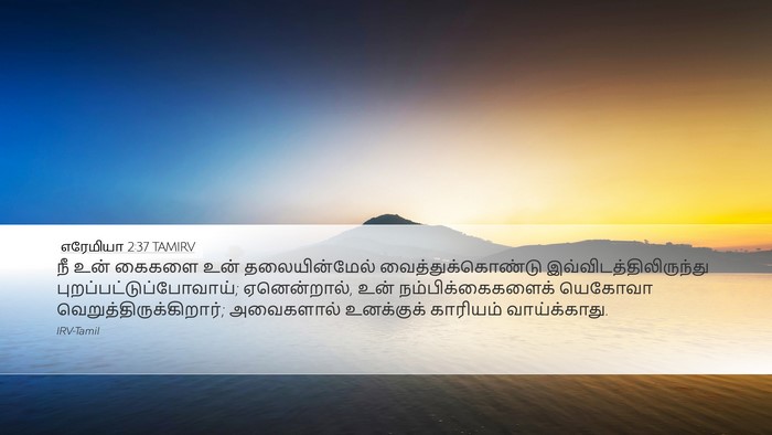 எரேமியா 2:37 TAMIRV Bible Verse Image