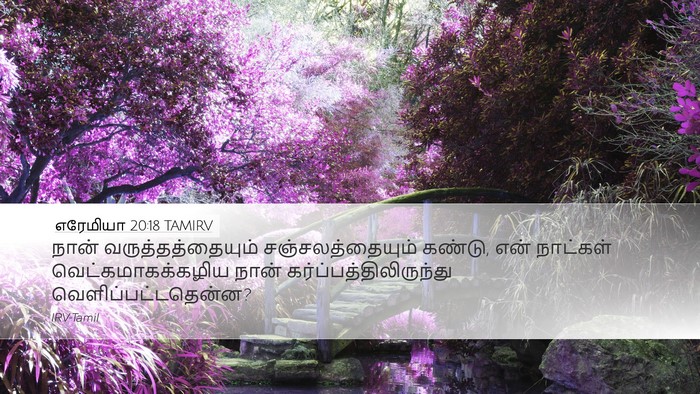 எரேமியா 20:18 TAMIRV Desktop Wallpaper - நான் - Desktop Bible Verse Wallpaper