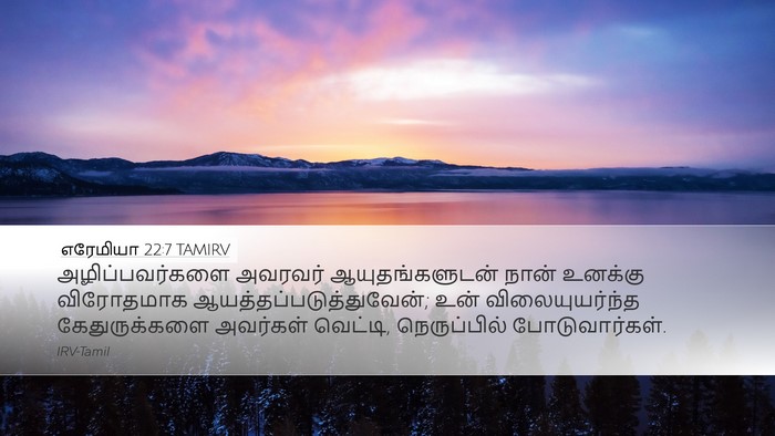எரேமியா 22:7 TAMIRV Bible Verse Image