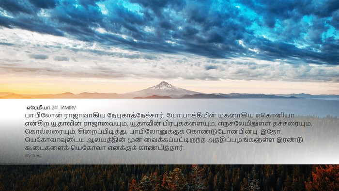 எரேமியா 24:1 TAMIRV Bible Verse Image