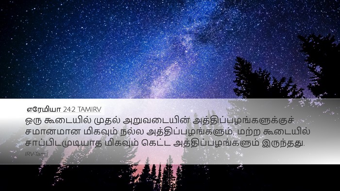 எரேமியா 24:2 TAMIRV Bible Verse Image