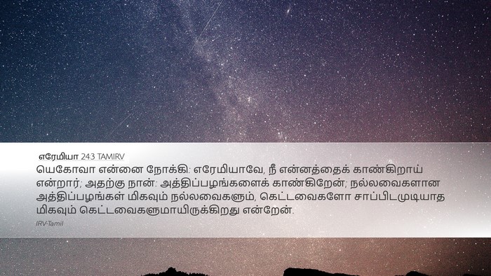 எரேமியா 24:3 TAMIRV Bible Verse Image