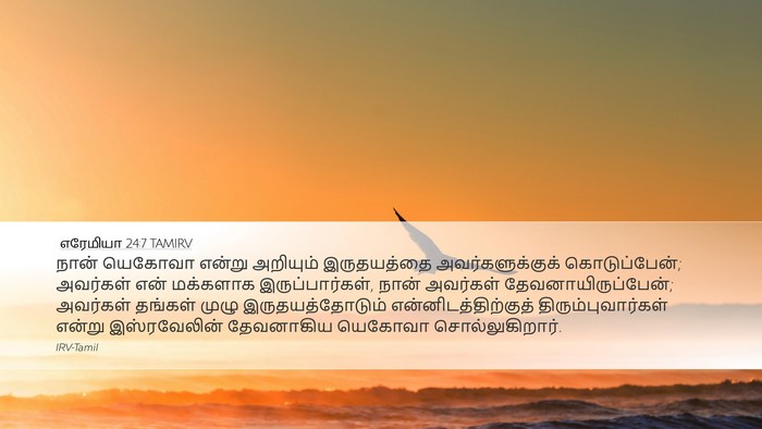 எரேமியா 24:7 TAMIRV Bible Verse Image