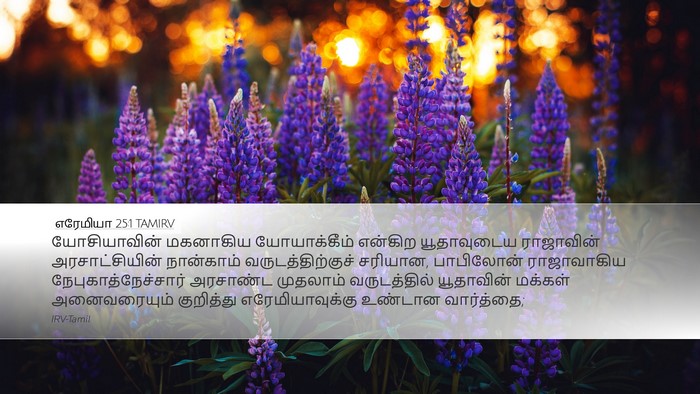 எரேமியா 25:1 TAMIRV Bible Verse Image