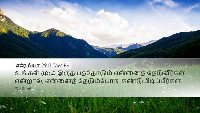 எரேமியா 29:13 TAMIRV Bible Verse Image