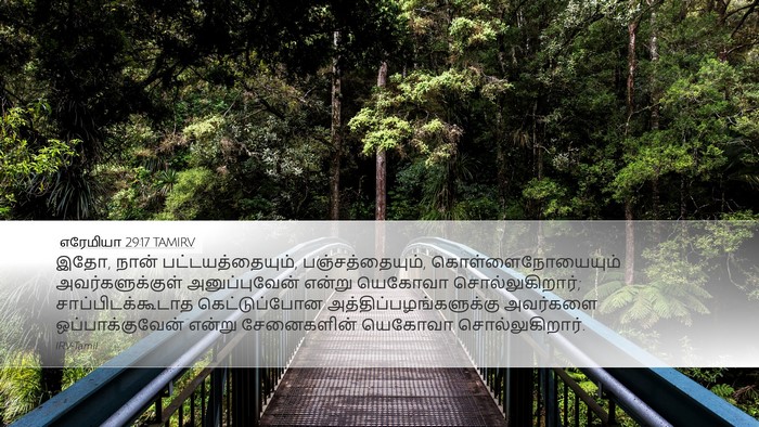 எரேமியா 29:17 TAMIRV Bible Verse Image