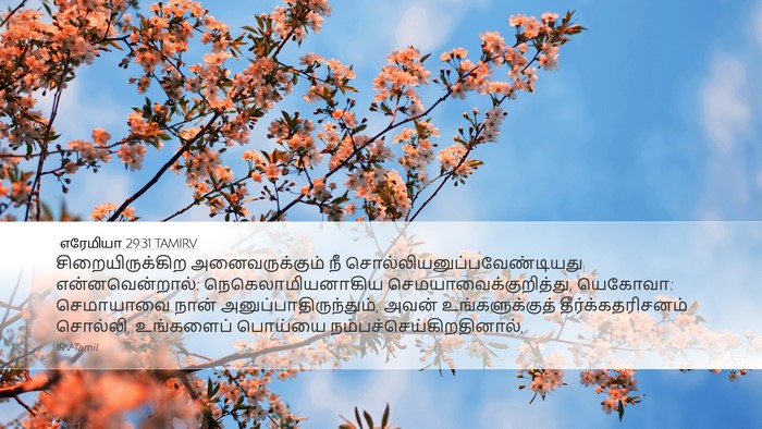 எரேமியா 29:31 TAMIRV Bible Verse Image