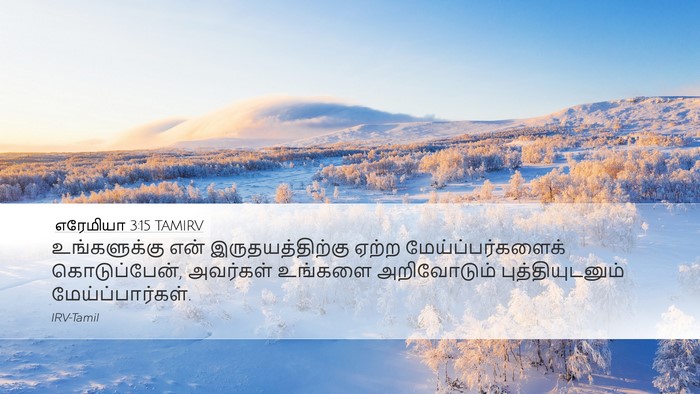 எரேமியா 3:15 TAMIRV Bible Verse Image