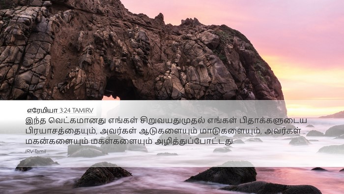 எரேமியா 3:24 TAMIRV Bible Verse Image