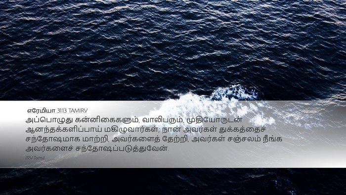 எரேமியா 31:13 TAMIRV Bible Verse Image