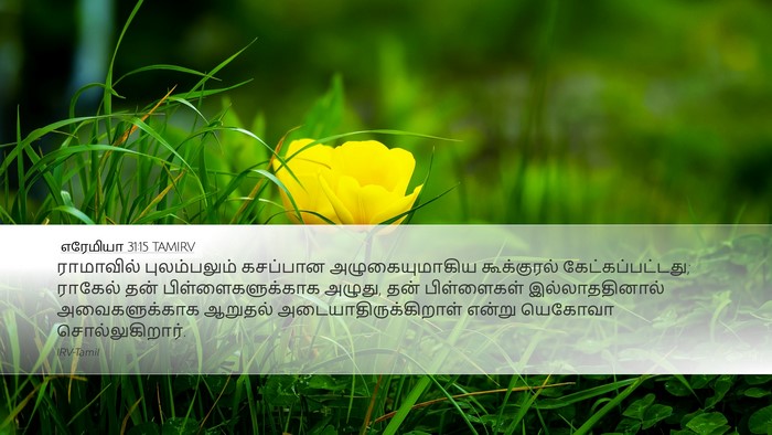 எரேமியா 31:15 TAMIRV Bible Verse Image