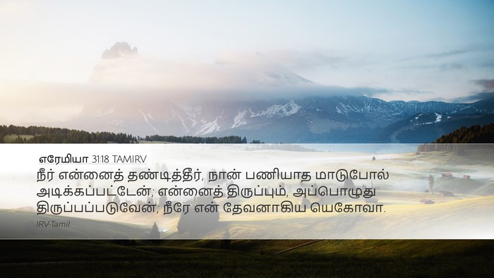 எரேமியா 31:18 TAMIRV Bible Verse Image