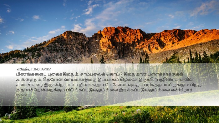 எரேமியா 31:40 TAMIRV Bible Verse Image