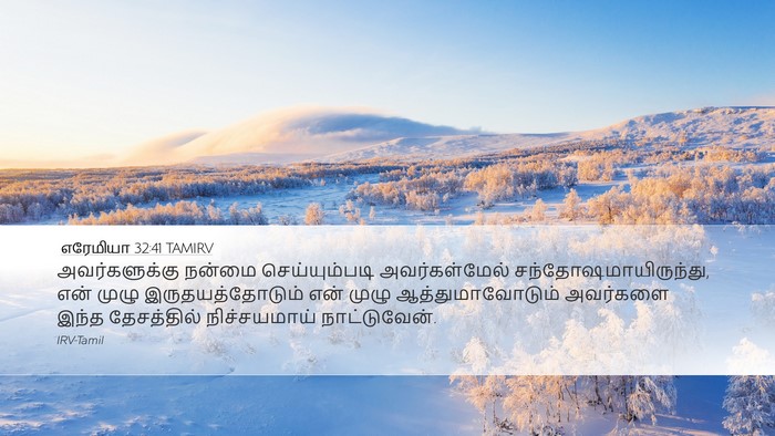 எரேமியா 32:41 TAMIRV Bible Verse Image