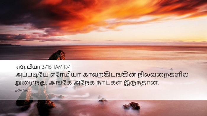 எரேமியா 37:16 TAMIRV Bible Verse Image