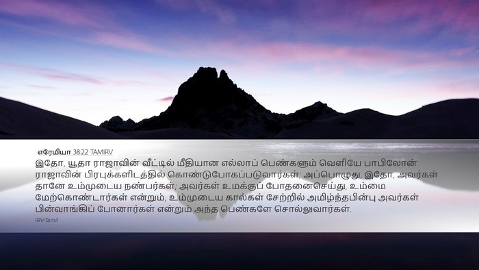 எரேமியா 38:22 TAMIRV Bible Verse Image