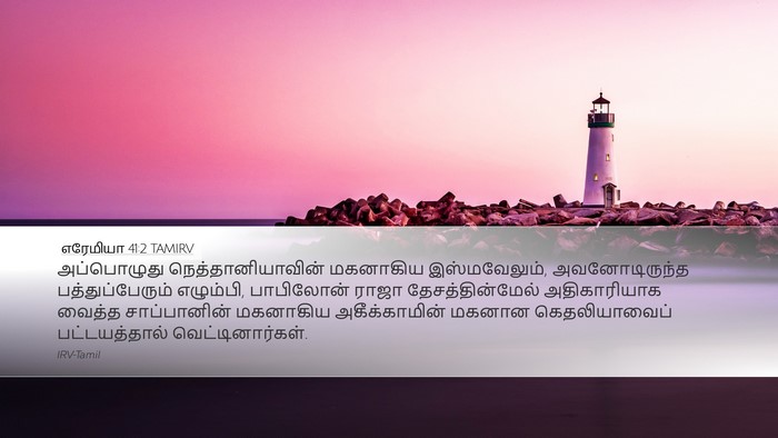 எரேமியா 41:2 TAMIRV Bible Verse Image