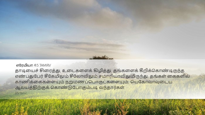 எரேமியா 41:5 TAMIRV Bible Verse Image