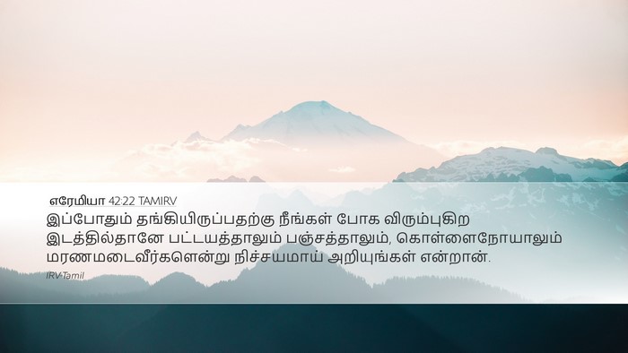 எரேமியா 42:22 TAMIRV Bible Verse Image