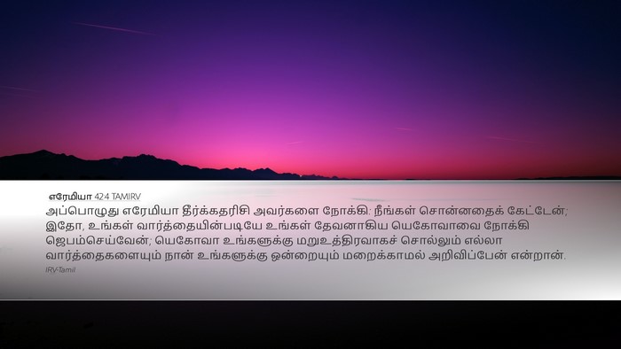 எரேமியா 42:4 TAMIRV Bible Verse Image