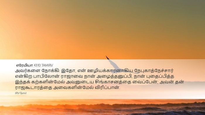 எரேமியா 43:10 TAMIRV Bible Verse Image