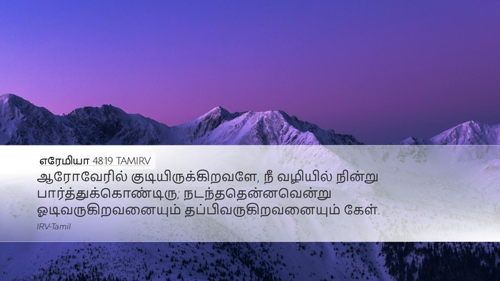 எரேமியா 48:19 TAMIRV Desktop Wallpaper - ஆரோவேரில் - Desktop Bible Verse Wallpaper