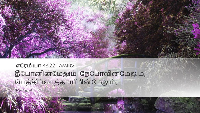 எரேமியா 48:22 TAMIRV Bible Verse Image