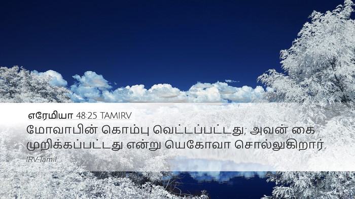 எரேமியா 48:25 TAMIRV Bible Verse Image