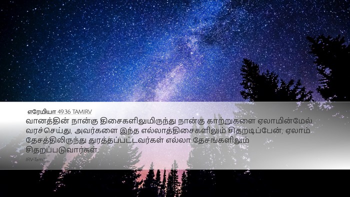 எரேமியா 49:36 TAMIRV Bible Verse Image