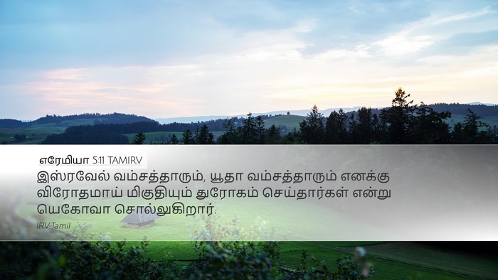 எரேமியா 5:11 TAMIRV Desktop Wallpaper - இஸ்ரவேல் - Desktop Bible Verse Wallpaper