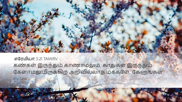 எரேமியா 5:21 TAMIRV Bible Verse Image