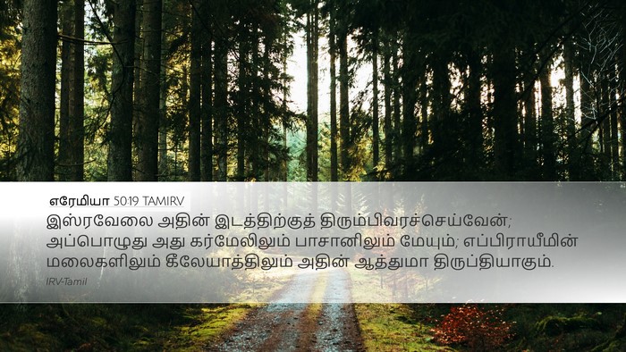 எரேமியா 50:19 TAMIRV Bible Verse Image