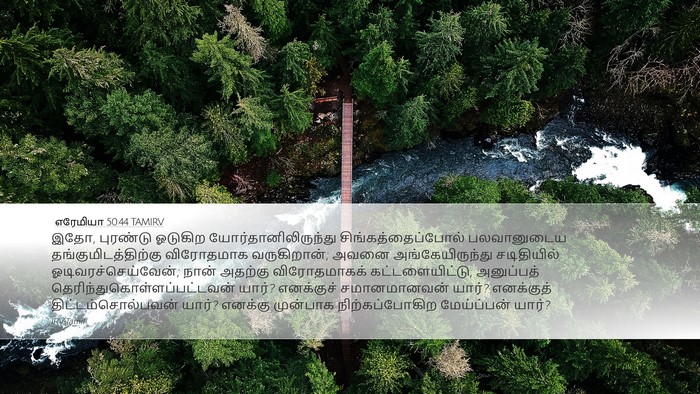 எரேமியா 50:44 TAMIRV Bible Verse Image