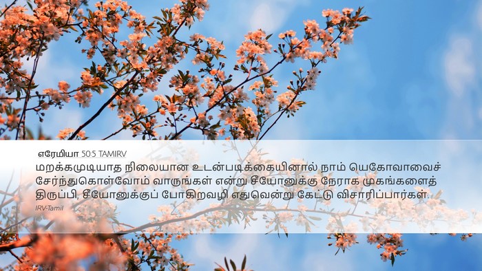 எரேமியா 50:5 TAMIRV Bible Verse Image
