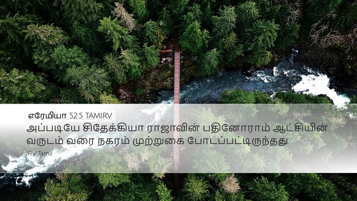 எரேமியா 52:5 TAMIRV Bible Verse Image