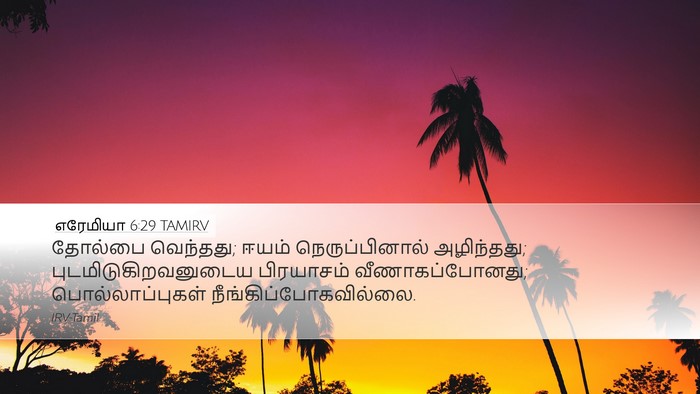 எரேமியா 6:29 TAMIRV Bible Verse Image