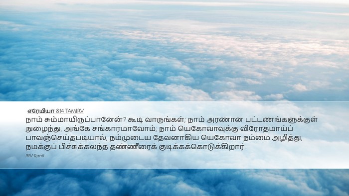எரேமியா 8:14 TAMIRV Bible Verse Image