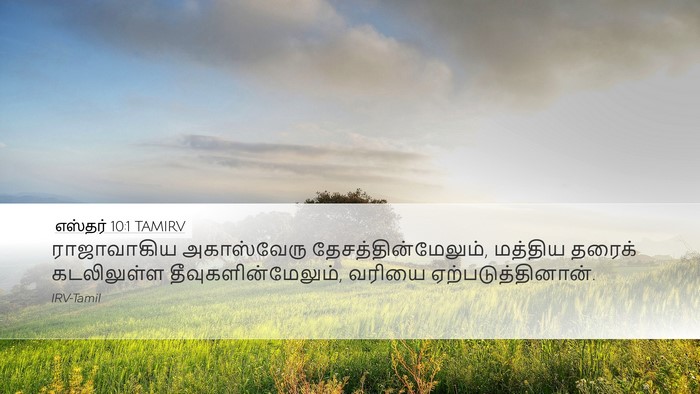 எஸ்தர் 10:1 TAMIRV Desktop Wallpaper - ராஜாவாகிய - Desktop Bible Verse Wallpaper