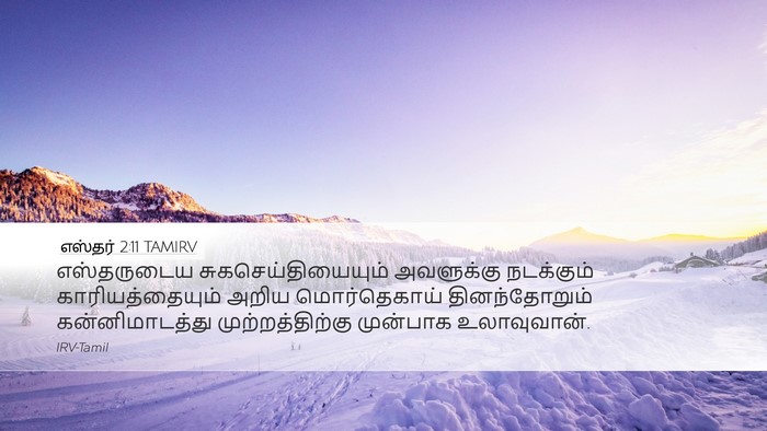 எஸ்தர் 2:11 TAMIRV Desktop Wallpaper - எஸ்தருடைய - Desktop Bible Verse Wallpaper