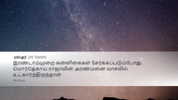 எஸ்தர் 2:19 TAMIRV Bible Verse Image