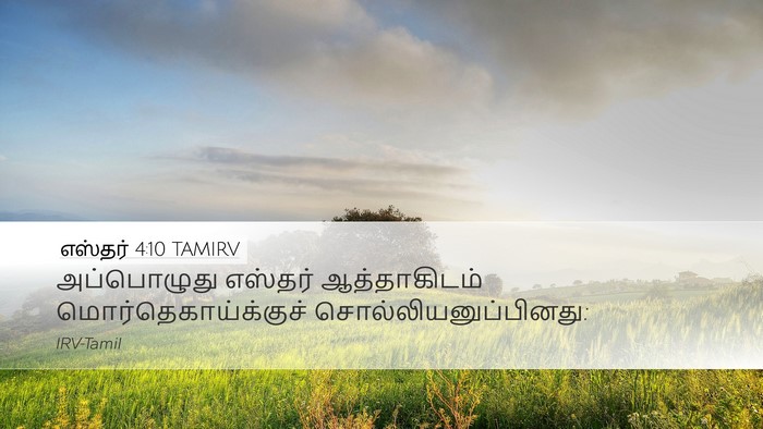 எஸ்தர் 4:10 TAMIRV Desktop Wallpaper - அப்பொழுது எஸ்தர் - Desktop Bible Verse Wallpaper