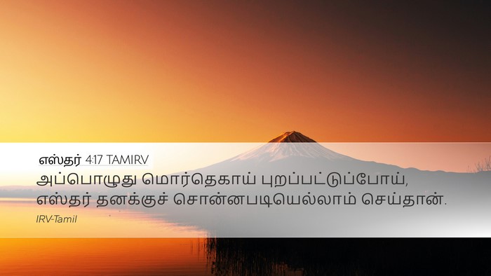 எஸ்தர் 4:17 TAMIRV Desktop Wallpaper - அப்பொழுது - Desktop Bible Verse Wallpaper